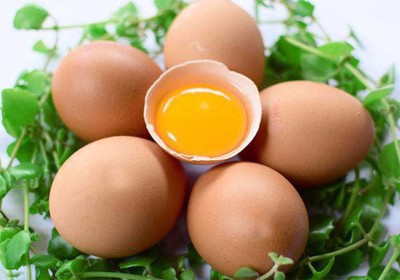 "Sốt sình sịch" với cách chữa xuất tinh sớm bằng trứng gà, xem ngay!